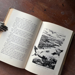 Log Cabin Vintage – vintage children’s book, children’s book, chapter book, history book – We Were There Series - We Were There with Jean Lafitte at New Orleans by Iris Vinton with illustrations by Robert Glaubke - view of the illustrations