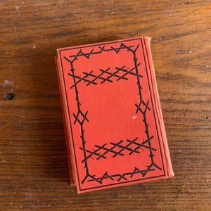 The Red Shanty Boys or Pictures of New England School Life 30 Years Ago written by Park Ludlow-antique novel-view of the embossed back cover